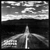 Cactus Jumper : Right Way